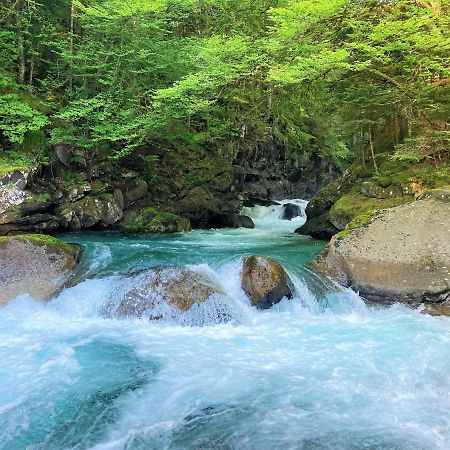 Grand T2 4 Voyageurs Tout Confort Cauterets Exteriör bild