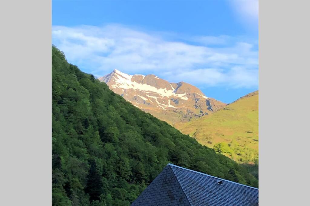 Grand T2 4 Voyageurs Tout Confort Cauterets Exteriör bild